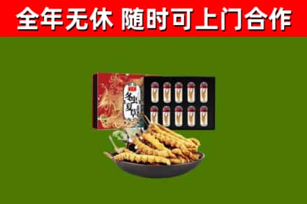 旌德回收冬虫夏草价格